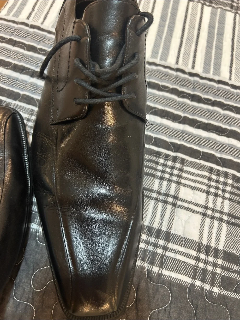 Belvedere men lace